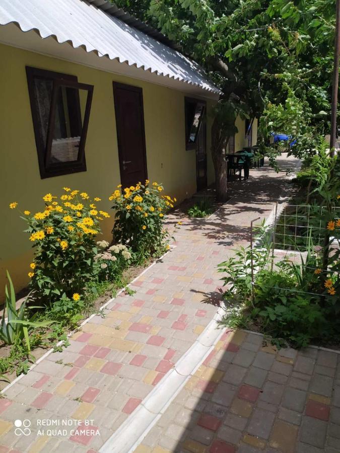 Small Guest House Lazurne Exterior photo